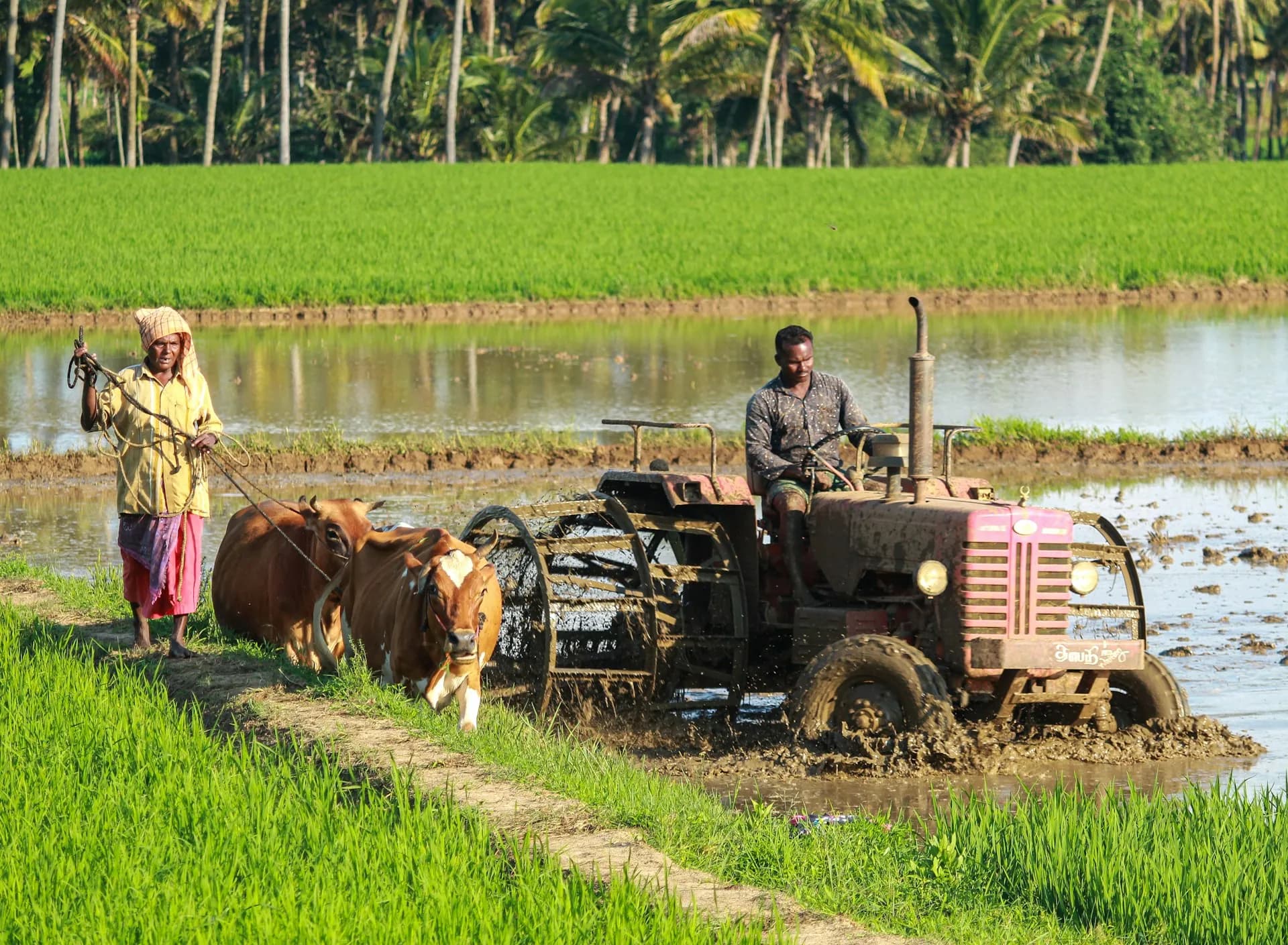 Field practical training at Shri Vitthal College of Agriculture